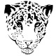 Tête de Jaguar 