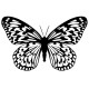 Papillon 3