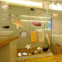 Planche de Coquillages 