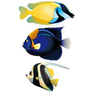 Stickers Poissons Tropicaux 