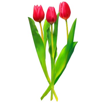 stickers Bouquet de Tulipes