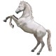 Stickers Cheval Blanc 