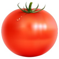 Tomate