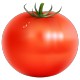 Tomate