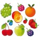 Planche de Fruits 4