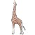 stickers Girafe 3