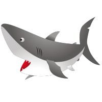 Requin 1