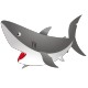 stickers Requin 1