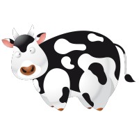 Vache 1