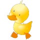 Stickers Canard