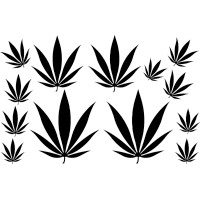 Planche Feuille de Cannabis