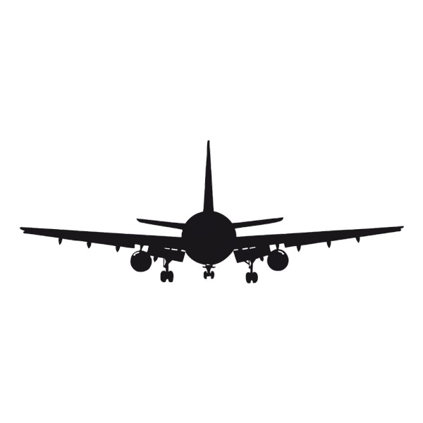 1013 avion de ligne silhouette