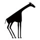 Girafe 1