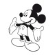 Mickey 2