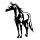 Stickers Cheval Texan 3