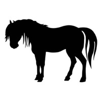 Cheval Silhouette 2