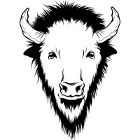 Bison 1 