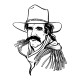 stickers Cowboy 3