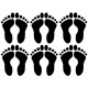 Planche Les Pieds en Eventail 