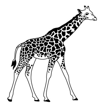 Stickers Girafe 