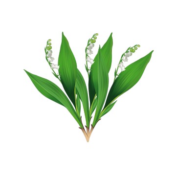 Stickers Brin de Muguet 2