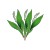 Stickers Brin de Muguet 2