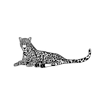 stickers Jaguar 3