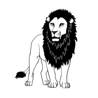 Lion 5