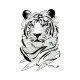Stickers animaux de la jungle Tigre 6