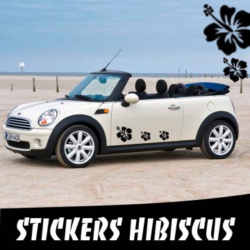 Stickers Tuning Voiture Hibiscus par 6