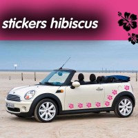 16 Stickers Tuning Voiture Hibiscus
