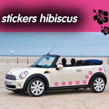 A29# Autocollant Fleurs Papillon Hibiskus Décor autodekor Voiture Sticker Set