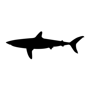 stickers Requin Silhouette