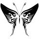 Papillon Tribal 4