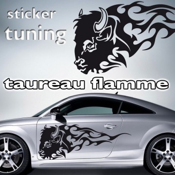 Stickers flamme tuning –