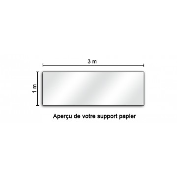 Banderole / Affiche Personnalisée - Papier 135 g/M2 - 3 Mètres