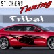 Stickers Tuning Tribal par 2 STT12