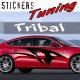 Stickers Tuning Tribal par 2 STT13