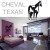Stickers Cheval Texan 