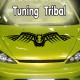 Stickers Tuning Tribal par 2 STT14
