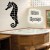  stickers autocollant Hippocampe 