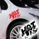 Logo Hot Lix Flamme