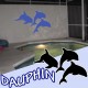 Trois adorable Dauphins