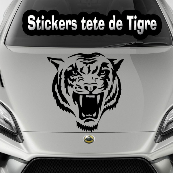 Sticker Voiture Griffes de Tigre - TenStickers