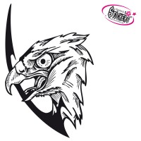 Tête dAigle 1