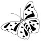 Papillon 1 