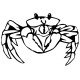 Crabe 1