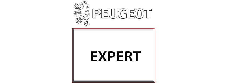 EXPERT