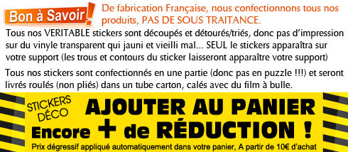 Ce Stickers Toit Voiture pas cher s'intégrera parfaitement dans votre  intérieur ou extérieur •.¸¸ FRANCE STICKERS ¸¸.•